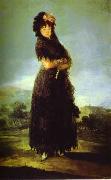 Francisco Jose de Goya Portrait of Mariana Waldstein. Sweden oil painting artist